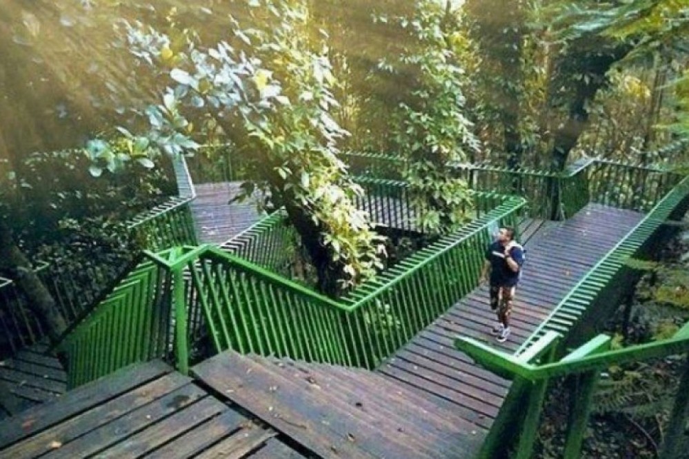 Forest Walk Babakan Siliwangi